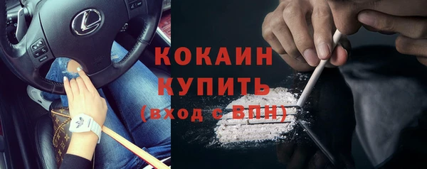 шишки Бородино