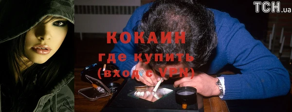 дурь Богородицк
