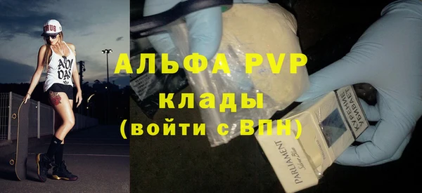 шишки Бородино