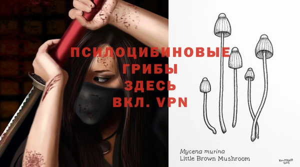 а пвп мука Богородск