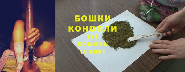 шишки Бородино