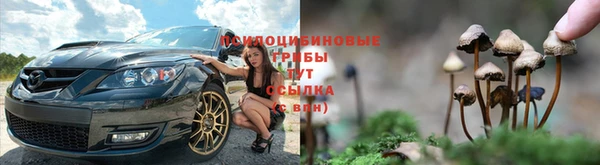 a pvp Бугульма