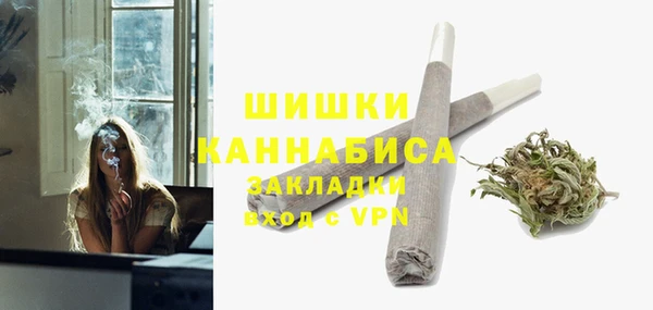 дурь Богородицк