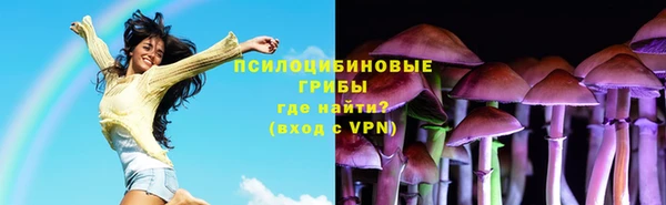 шишки Бородино