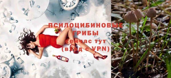 шишки Бородино