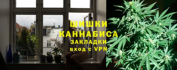 мдпв Володарск