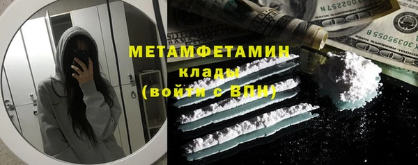 шишки Бородино